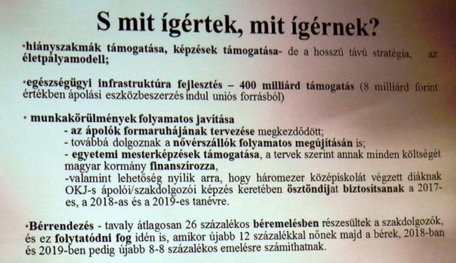 Kossuth Zsuzsanna emlékülés 2017 37